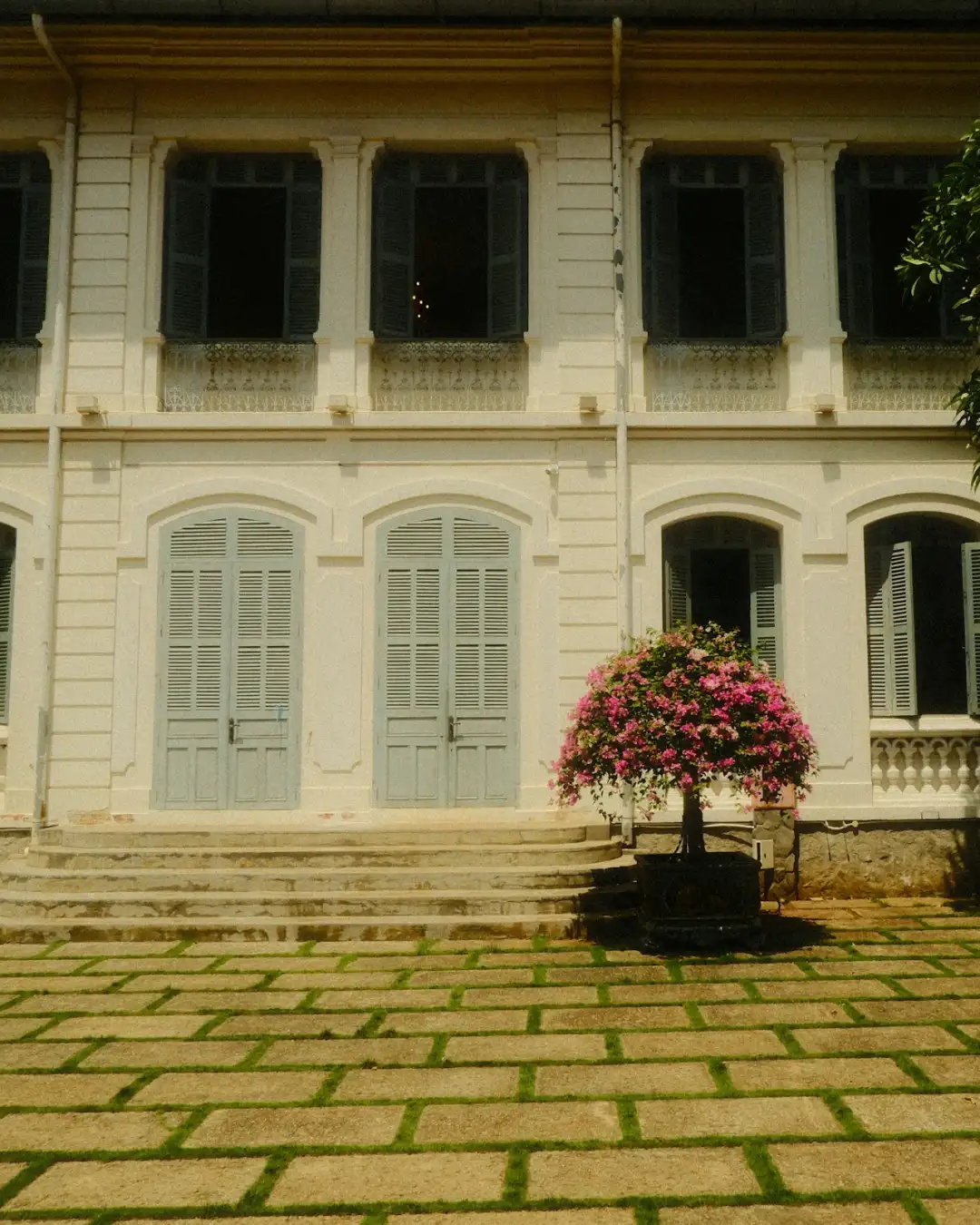 Biệt thự Pháp ở Huế của Hôtel Lưu Ly: cửa chớp xám xanh và cây hoa giấy hồng trước bậc tam cấp